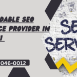 affordable Seo service provider In Rohini