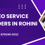 Best Seo Service Provider In Rohini