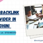 best backlink provider in rohini