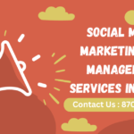 Social Media Marketing And Management Service In Rohini