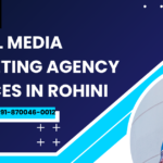 social media marketing services in rohini